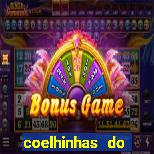 coelhinhas do brasil site